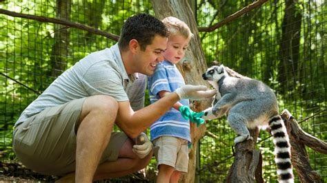 尼日利亞果羅的埃貝爾森林：探索原始魅力與野生動物奇遇！