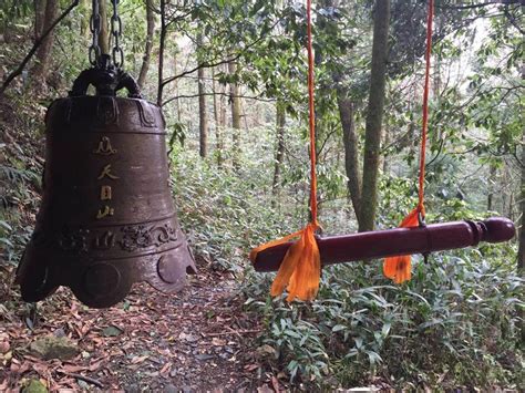  天目山：雲海奇觀與佛教聖地！